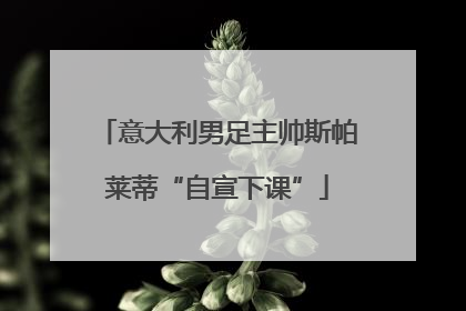 意大利男足主帅斯帕莱蒂“自宣下课”