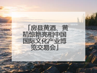 房县黄酒、黄精惊艳亮相中国国际文化产业博览交易会