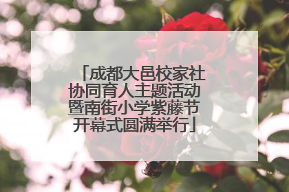 成都大邑校家社协同育人主题活动暨南街小学紫藤节开幕式圆满举行