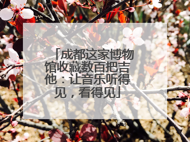成都这家博物馆收藏数百把吉他：让音乐听得见，看得见