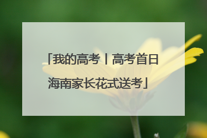 我的高考丨高考首日 海南家长花式送考