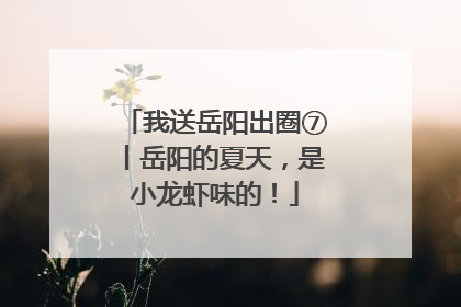 我送岳阳出圈⑦丨岳阳的夏天，是小龙虾味的！