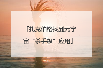 扎克伯格找到元宇宙“杀手级”应用