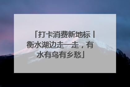 打卡消费新地标丨衡水湖边走一走，有水有鸟有乡愁