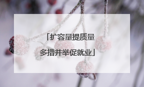扩容量提质量 多措并举促就业