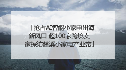 抢占AI智能小家电出海新风口 超100家跨境卖家探访慈溪小家电产业带