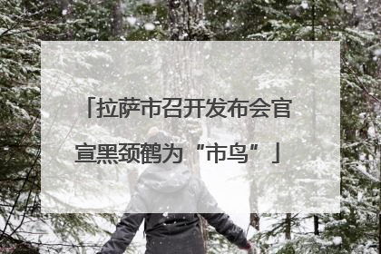 拉萨市召开发布会官宣黑颈鹤为“市鸟”