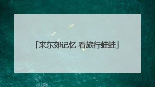 来东郊记忆 看旅行蛙蛙