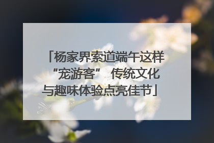 杨家界索道端午这样“宠游客” 传统文化与趣味体验点亮佳节