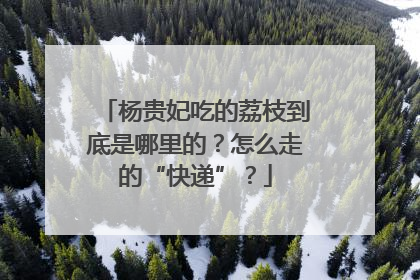 杨贵妃吃的荔枝到底是哪里的？怎么走的“快递”？