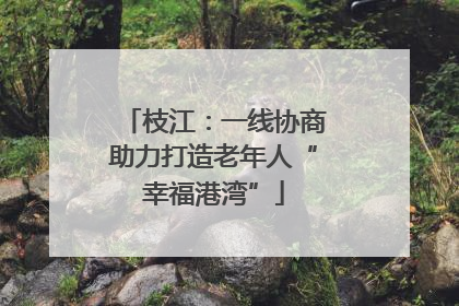 枝江：一线协商助力打造老年人“幸福港湾”