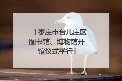 枣庄市台儿庄区图书馆、博物馆开馆仪式举行