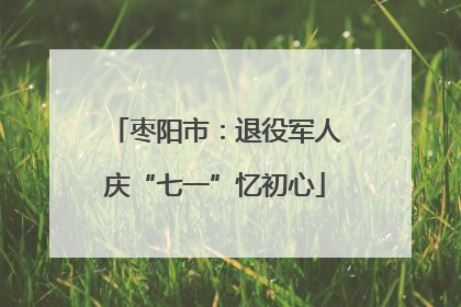 枣阳市：退役军人庆“七一”忆初心