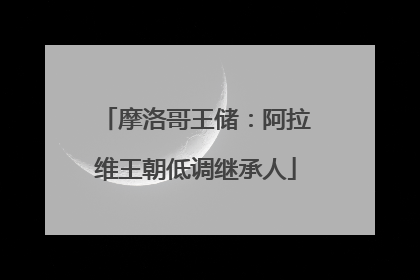 摩洛哥王储：阿拉维王朝低调继承人
