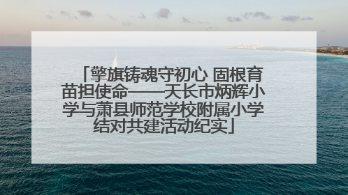 擎旗铸魂守初心 固根育苗担使命——天长市炳辉小学与萧县师范学校附属小学结对共建活动纪实