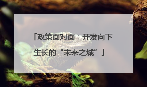 政策面对面：开发向下生长的“未来之城”
