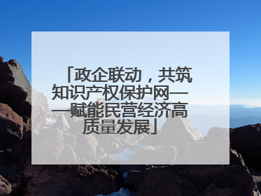 政企联动，共筑知识产权保护网——赋能民营经济高质量发展