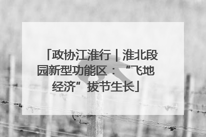 政协江淮行｜淮北段园新型功能区：“飞地经济”拔节生长