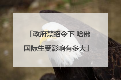 政府禁招令下 哈佛国际生受影响有多大