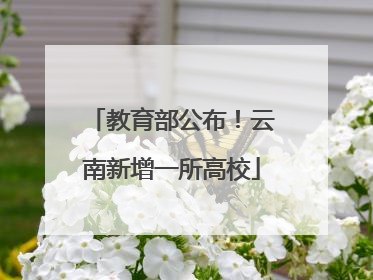 教育部公布！云南新增一所高校