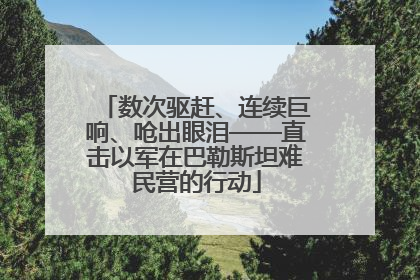 数次驱赶、连续巨响、呛出眼泪——直击以军在巴勒斯坦难民营的行动