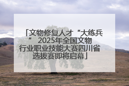 文物修复人才“大练兵” 2025年全国文物行业职业技能大赛四川省选拔赛即将启幕