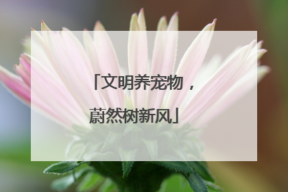 文明养宠物,蔚然树新风