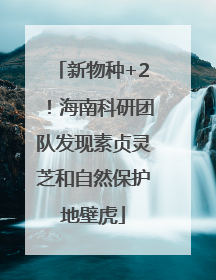 新物种+2！海南科研团队发现素贞灵芝和自然保护地壁虎