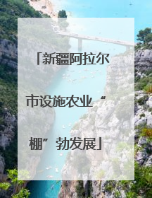 新疆阿拉尔市设施农业“棚”勃发展