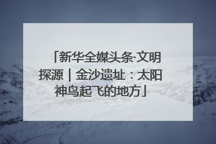 新华全媒头条·文明探源｜金沙遗址：太阳神鸟起飞的地方