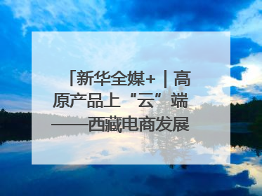 新华全媒+｜高原产品上“云”端——西藏电商发展一线观察