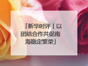 新华时评丨以团结合作共促南海稳定繁荣