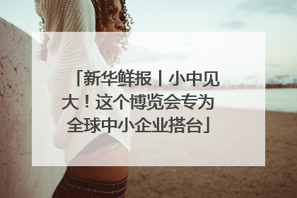 新华鲜报丨小中见大！这个博览会专为全球中小企业搭台