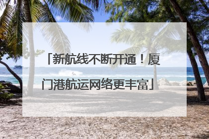 新航线不断开通！厦门港航运网络更丰富