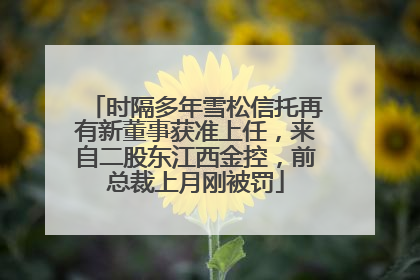 时隔多年雪松信托再有新董事获准上任，来自二股东江西金控，前总裁上月刚被罚