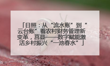 日照：从“流水账”到“云台账”看农村财务管理新变革，莒县——数字赋能激活乡村振兴“一池春水”