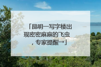 昆明一写字楼出现密密麻麻的飞虫，专家提醒→