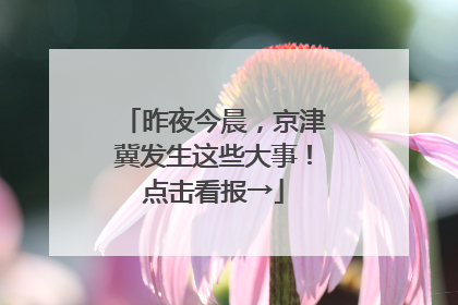昨夜今晨，京津冀发生这些大事！点击看报→