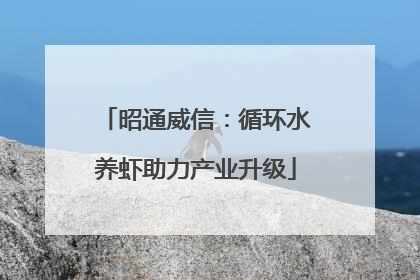 昭通威信：循环水养虾助力产业升级