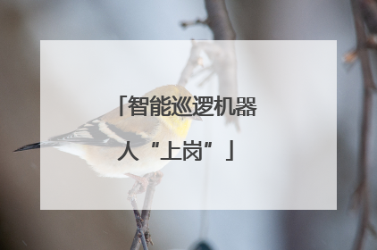 智能巡逻机器人“上岗”