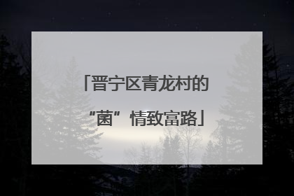 晋宁区青龙村的“菌”情致富路