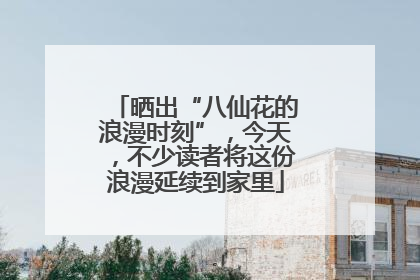 晒出“八仙花的浪漫时刻”，今天，不少读者将这份浪漫延续到家里