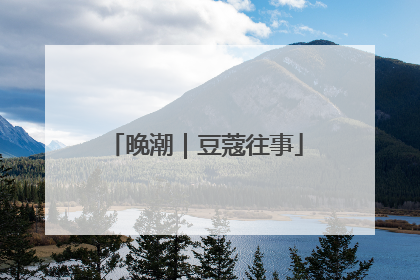 晚潮｜豆蔻往事