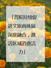 普陀持续促进文旅商体展深度融合，激活区域消费活力
