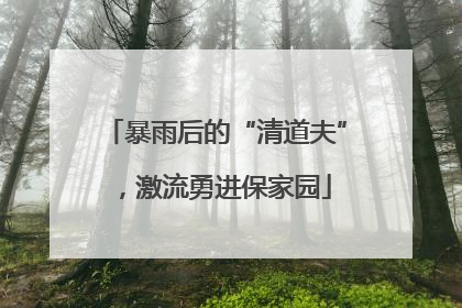 暴雨后的“清道夫”，激流勇进保家园