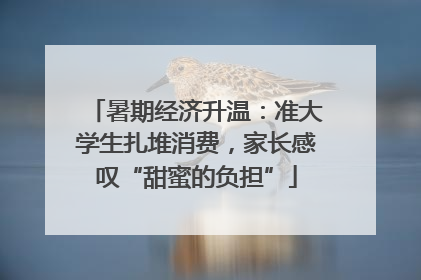 暑期经济升温：准大学生扎堆消费，家长感叹“甜蜜的负担”