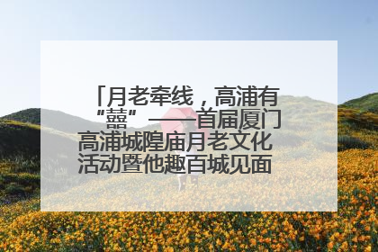 月老牵线，高浦有“囍”——首届厦门高浦城隍庙月老文化活动暨他趣百城见面会隆重举办