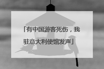 有中国游客死伤，我驻意大利使馆发声