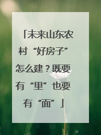 未来山东农村“好房子”怎么建？既要有“里”也要有“面”