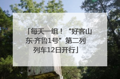 每天一组！“好客山东·齐鲁1号”第二列列车12日开行